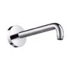 Hansgrohe Aktiva - Douchearm 241 Mm, Chroom 27409000