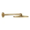 Grohe Rainshower SmartActive - Hoofddouche 310, Douchearm 430 Mm, 2-jets, Geborsteld Cool Sunrise 26475GN0 -Grohe Winkel 3a483301c9308d8e4c716f48
