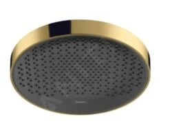 Hansgrohe Rainfinity - Hoofddouche 360, 1 Jet, Gepolijst Goud 26231990