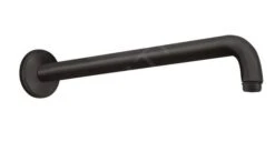 Hansgrohe Aktiva - Douchearm 389 Mm, Mat Zwart 27413670