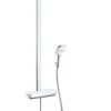 Hansgrohe Raindance Select E - Doucheset Met Thermostaat, 360 Mm, Wit/chroom 27112400 2 Hansgrohe Raindance Select E - Doucheset Met Thermostaat, 360 Mm, Wit/chroom 27112400 -Grohe Winkel 78b74210fc89b91a2921c2a8