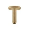 Hansgrohe Toebehoren - Plafondbevestiging S 100 Mm, Geborsteld Brons 27393140 -Grohe Winkel 8e3af9d6b107a5b710cc4812