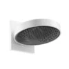 Hansgrohe Rainfinity - Hoofddouche 250 Met Douchearm, 1jet, EcoSmart, Mat Wit 26227700 -Grohe Winkel cb5d67ffff60f778ab80fc0d 1